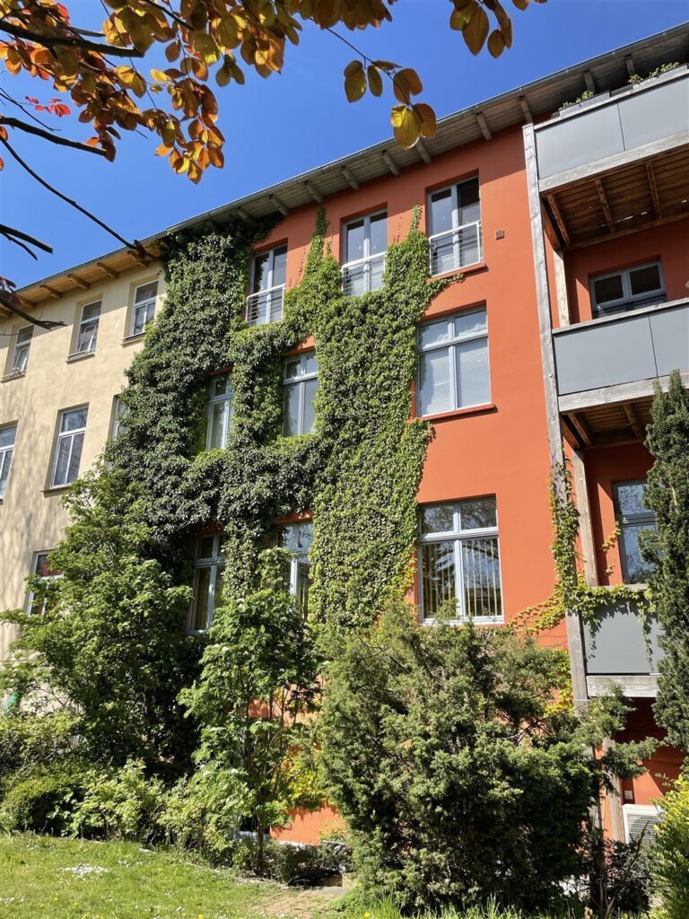 Rückseite