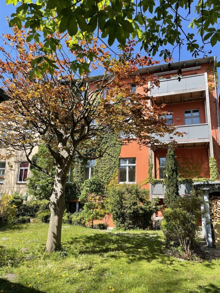 Rückseite