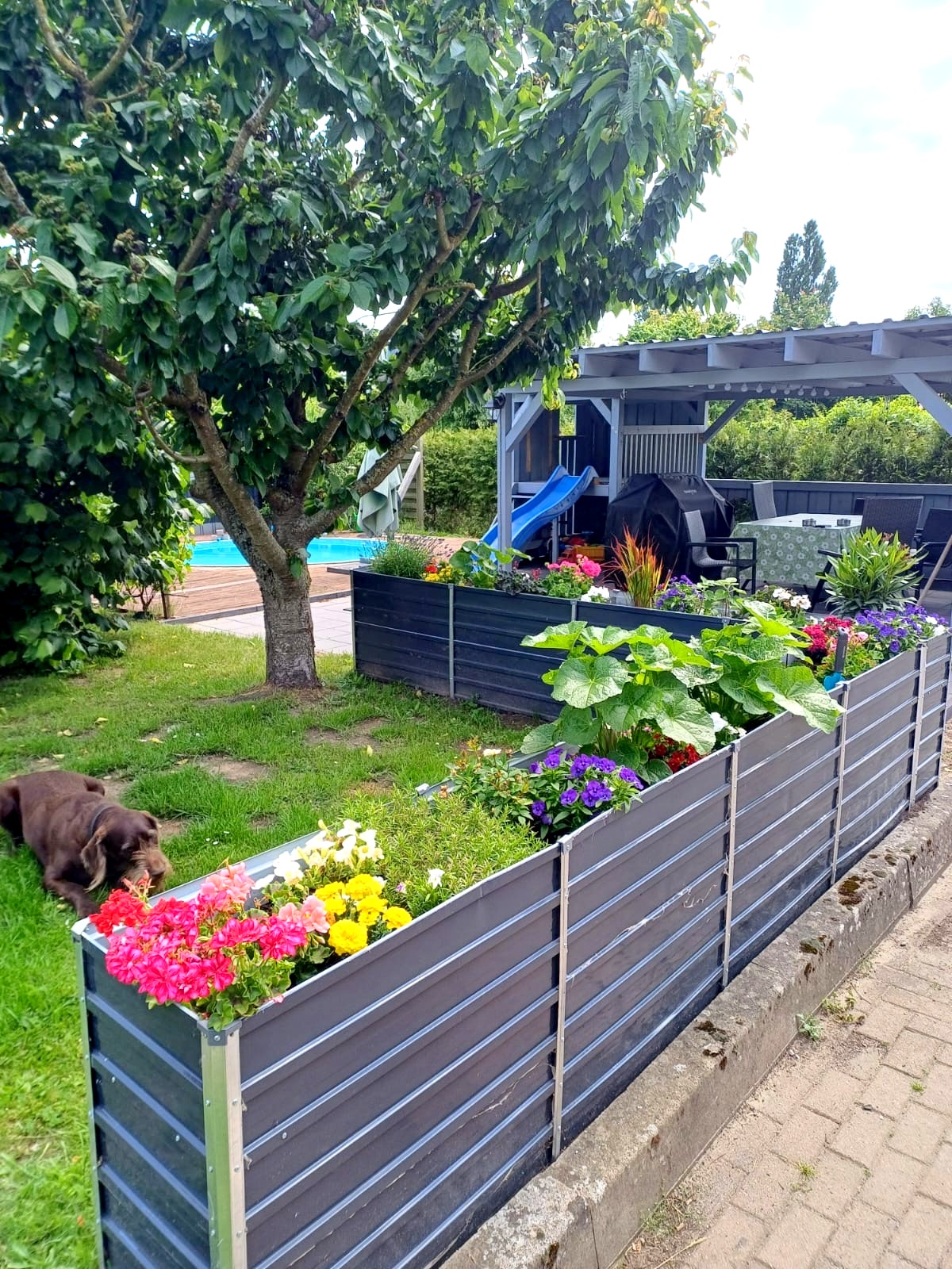 Terrasse mit Pool