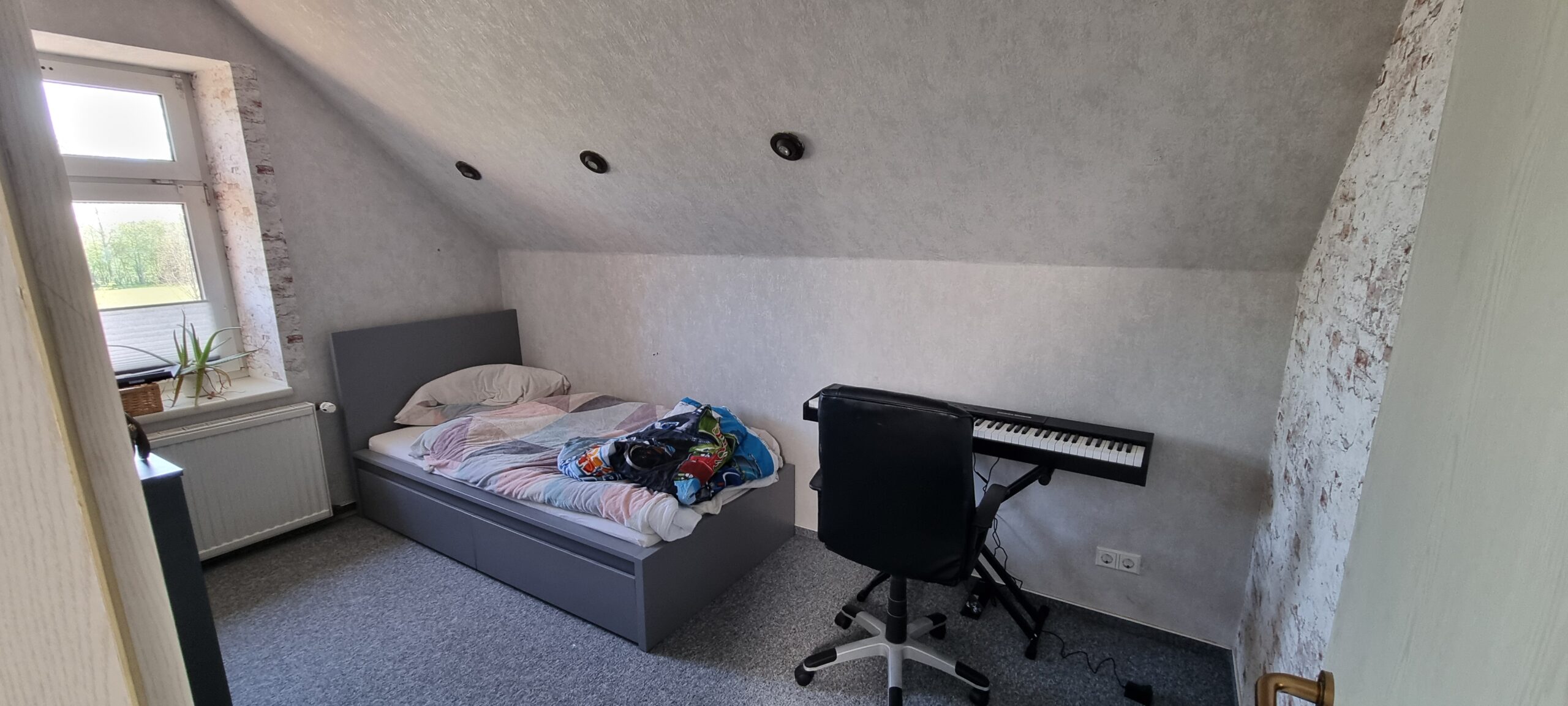 Zimmer DG