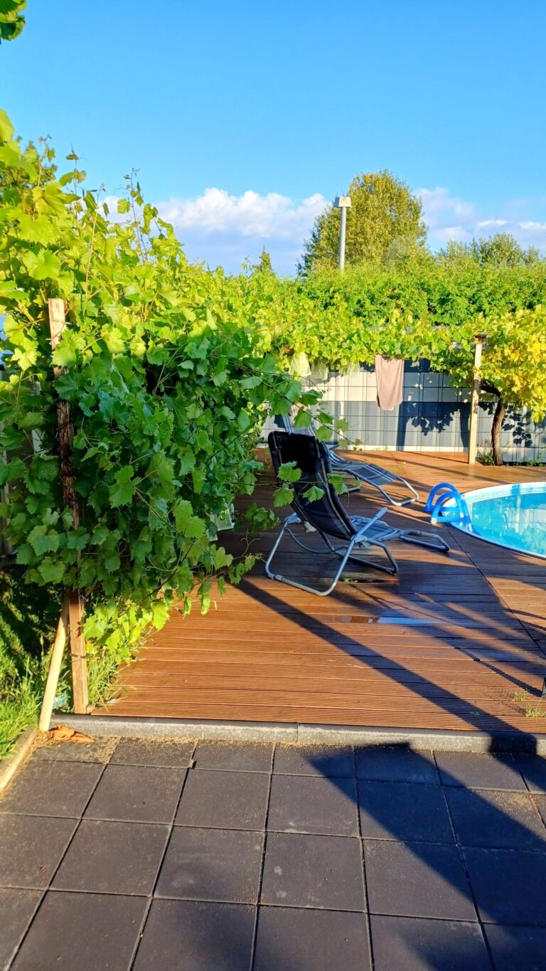 Liegen am Pool