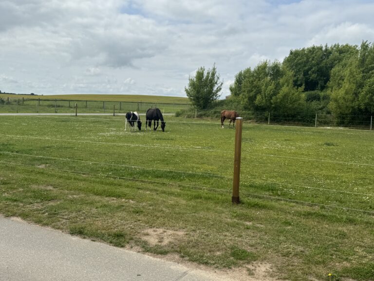 Freier Blick in die Natur