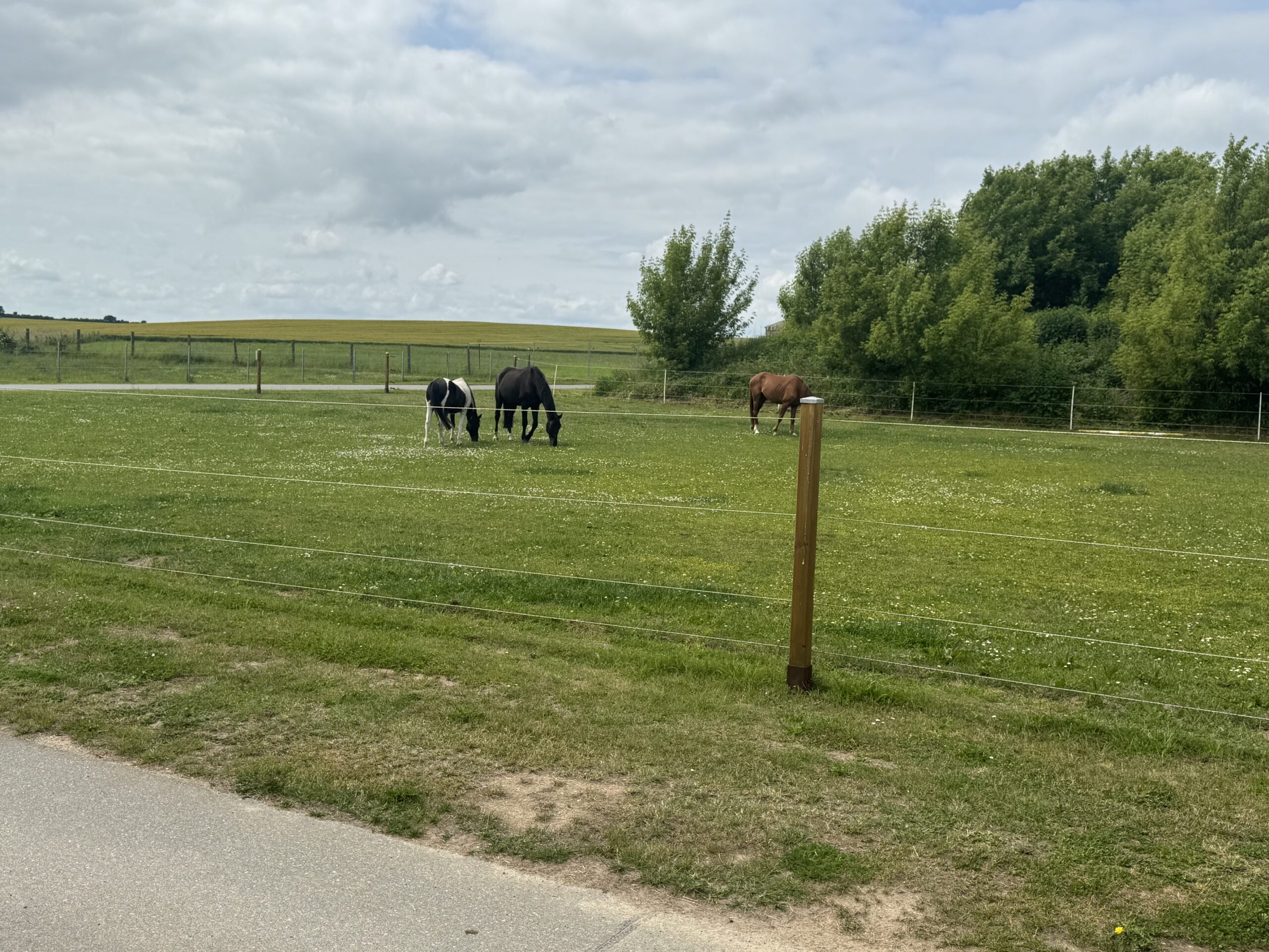 Freier Blick in die Natur